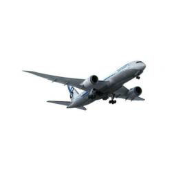 QualityWings 787-800 - Addon voor Flight Simulator X (FSX)