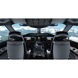 QualityWings 787-800 - Addon voor Flight Simulator X (FSX)