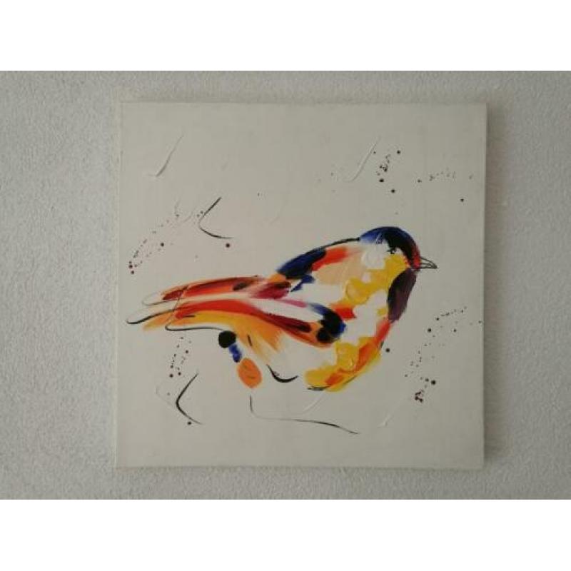 Schilderij met afbeelding van een kleurrijke vogel. 50x50x3.
