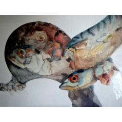 "Vissen" in fraaie kunstvorm '72 - ges. A. B. Kwadijk