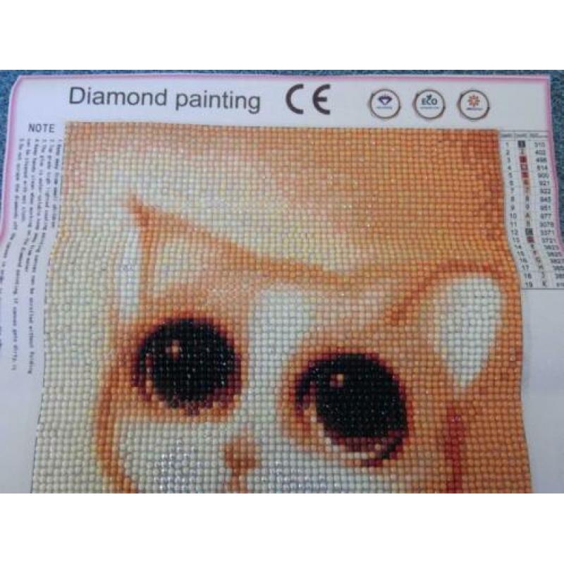 Afgerond Diamond Painting Schilderij Oranje Kat, 25cmx35cm.