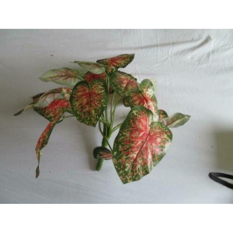 Kunstplant met rose getint blad zijde