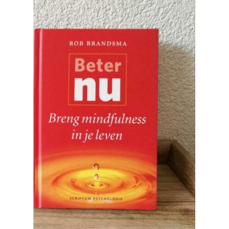 Boek "Beter nu, breng mindfulness in je leven", Rob Brandsma