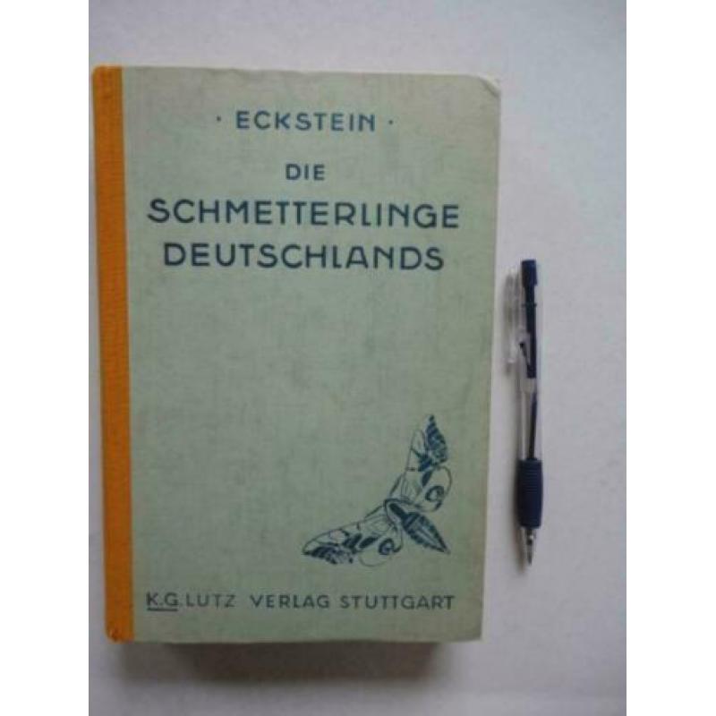 VLINDERS. Eckstein: Die Schmetterlinge Deutschlands 1913.