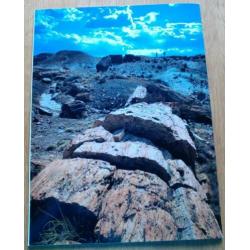 Petrified Forest The Story Behind the Scenery by Sidney Ash
