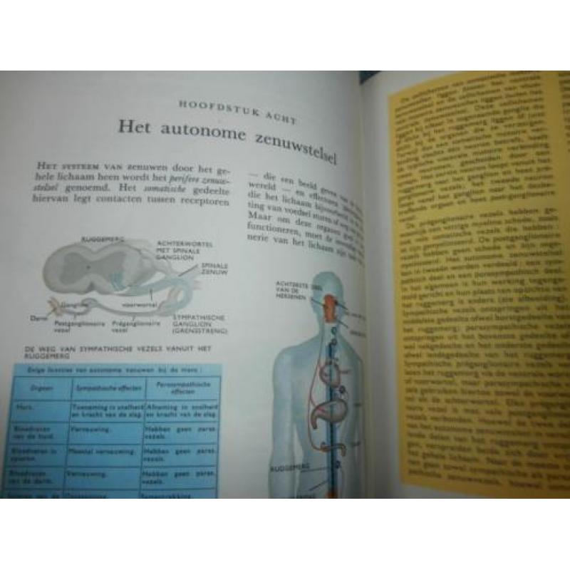Boek wereld der wetenschap der biologie menselijk lichaam