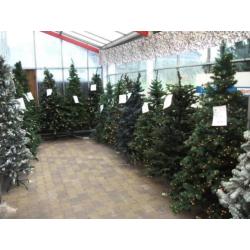 Led Kerstboom Blauwspar 215 cm PE-PVC (showmodel) kerst 138
