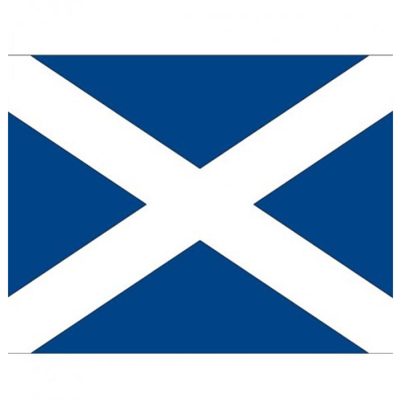 Landen versiering en vlaggen Shoppartners Stickertjes van vlag van Schotland